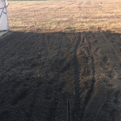 zona fresata dedicata all'orto sinergico / 006.JPG 006.JPG