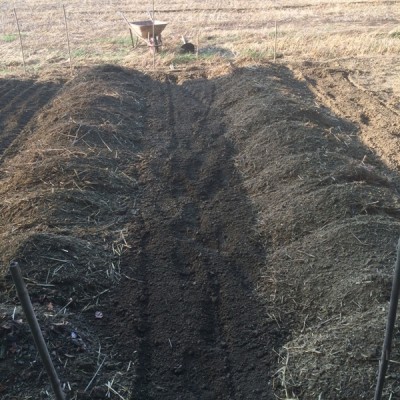 aggiunta di terra mista paglia / 008.JPG 008.JPG
