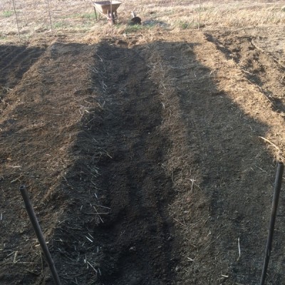 prima livellata / 009.JPG 009.JPG