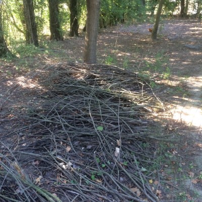 ramaglie della potatura 2014/15 / 010.JPG 010.JPG