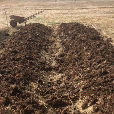 letame maturo / 017.JPG 017.JPG