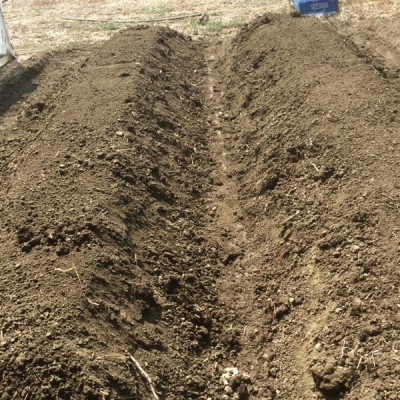 aggiunta di altra terra di copertura / 019.JPG 019.JPG