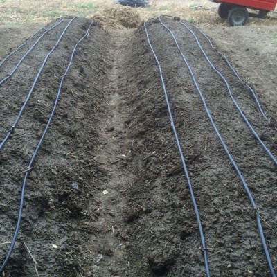 posa dell'ala gocciolante / 021.JPG 021.JPG