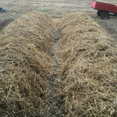 posa della paglia / 022.JPG 022.JPG