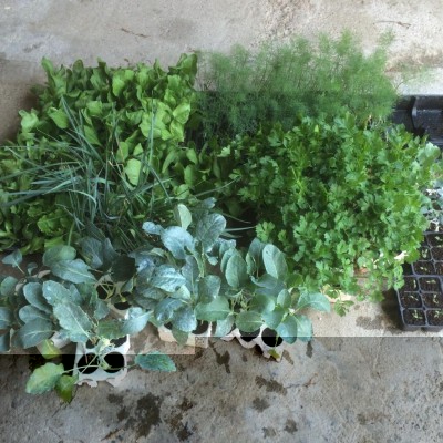 Mix / image.jpeg image.jpeg