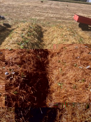 Prima posa / image.jpeg image.jpeg