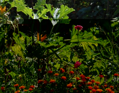 242.JPG (337.34 KiB) Osservato 665 volte 242.JPG