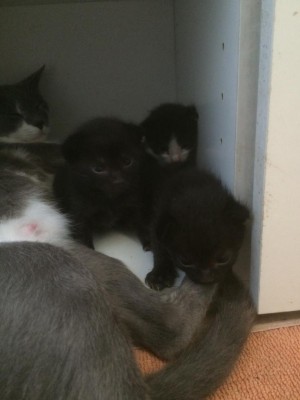 Ultimi arrivi / image.jpeg image.jpeg