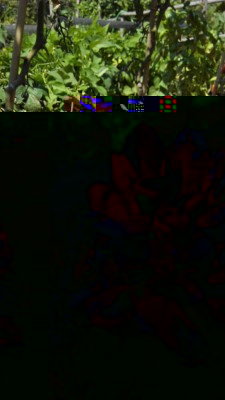 A seme? / IMG_20160812_150036.jpg IMG_20160812_150036.jpg