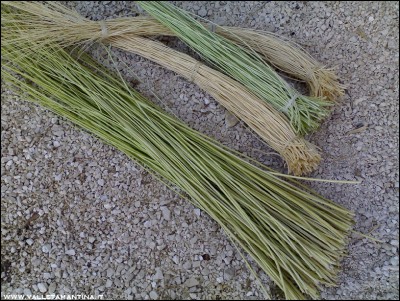 02082016-4811.jpg (345.8 KiB) Osservato 582 volte 02082016-4811.jpg