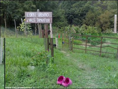 01082016ingresso-orto.jpg (312.31 KiB) Osservato 575 volte 01082016ingresso-orto.jpg