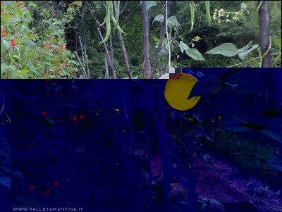 01082016piattino-giallo2.jpg (334.08 KiB) Osservato 553 volte 01082016piattino-giallo2.jpg