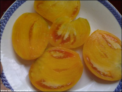 01082016-verna-orange-2.jpg (128.74 KiB) Osservato 548 volte 01082016-verna-orange-2.jpg