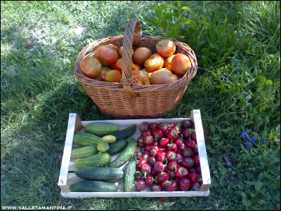 18082016raccolto.jpg (355.6 KiB) Osservato 760 volte 18082016raccolto.jpg