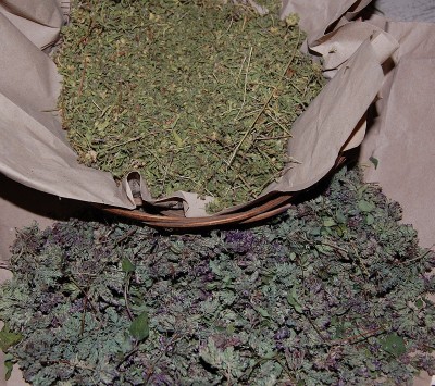 273.JPG (387.7 KiB) Osservato 625 volte 273.JPG