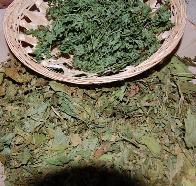 274.JPG (388.41 KiB) Osservato 625 volte 274.JPG