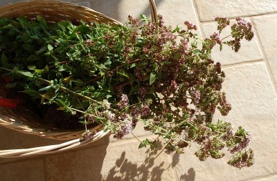 276.JPG (216.86 KiB) Osservato 625 volte 276.JPG