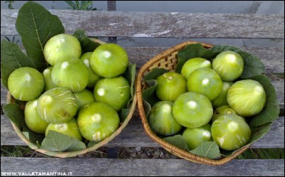 18082016fichi.jpg (194.16 KiB) Osservato 526 volte 18082016fichi.jpg