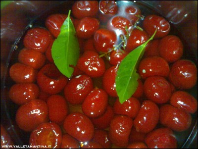 29082016peperoncini-ripieni1.jpg (272.87 KiB) Osservato 525 volte 29082016peperoncini-ripieni1.jpg