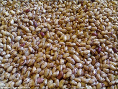 02092016borlotti2.jpg (349.68 KiB) Osservato 520 volte 02092016borlotti2.jpg