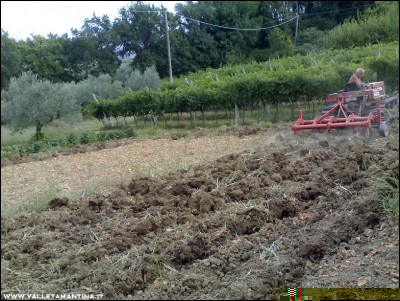 30082016rippatura.jpg (311.23 KiB) Osservato 517 volte 30082016rippatura.jpg