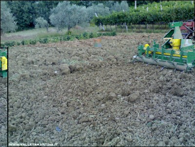 30082016affinamento-terra.jpg (330.66 KiB) Osservato 517 volte 30082016affinamento-terra.jpg