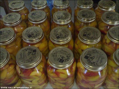 20092015pesche-sciroppate.jpg (242.8 KiB) Osservato 535 volte 20092015pesche-sciroppate.jpg