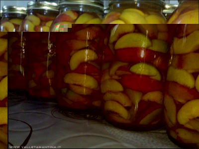 20092015pesche-vasi.jpg (234.3 KiB) Osservato 535 volte 20092015pesche-vasi.jpg