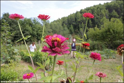 20160817-261-ValleTamantina2016.jpg (195.47 KiB) Osservato 586 volte 20160817-261-ValleTamantina2016.jpg