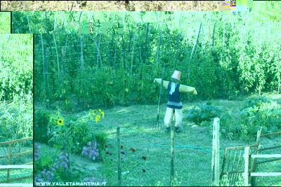 20160815-90-ValleTamantina2016.jpg (353.81 KiB) Osservato 586 volte 20160815-90-ValleTamantina2016.jpg