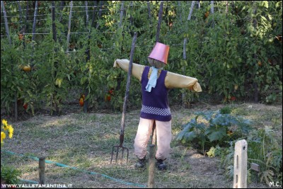 20160815-102-ValleTamantina2016.jpg (279.82 KiB) Osservato 586 volte 20160815-102-ValleTamantina2016.jpg