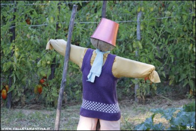 20160815-95-ValleTamantina2016.jpg (205.06 KiB) Osservato 586 volte 20160815-95-ValleTamantina2016.jpg