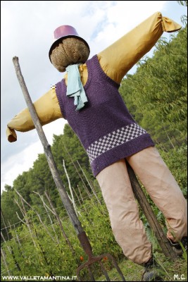 20160817-278-ValleTamantina2016.jpg (222.35 KiB) Osservato 586 volte 20160817-278-ValleTamantina2016.jpg