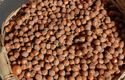 308.JPG (288.65 KiB) Osservato 730 volte 308.JPG