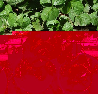 310.JPG (388.51 KiB) Osservato 730 volte 310.JPG