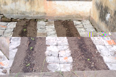 Photo  Lattuga - Pomodori / Lattuga - Pomodori.JPG Lattuga - Pomodori.JPG