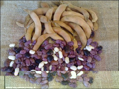 12092016fagioli.jpg (287.22 KiB) Osservato 505 volte 12092016fagioli.jpg