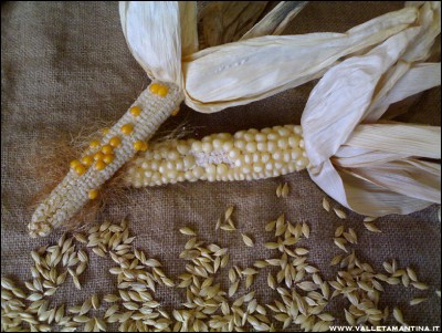 19092016mais.jpg (286.16 KiB) Osservato 576 volte 19092016mais.jpg