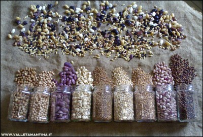 19092016semi2016-2.jpg (311.39 KiB) Osservato 575 volte 19092016semi2016-2.jpg