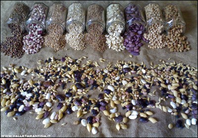 19092016semi2016-3.jpg (330.88 KiB) Osservato 575 volte 19092016semi2016-3.jpg