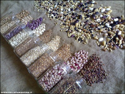 19092016semi2016-4.jpg (341.86 KiB) Osservato 575 volte 19092016semi2016-4.jpg