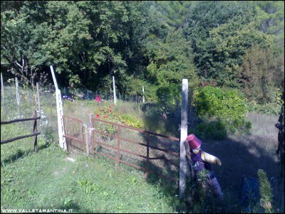 27092016orto.jpg (354.98 KiB) Osservato 563 volte 27092016orto.jpg