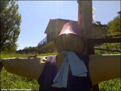 25092016lucertola.jpg (192.73 KiB) Osservato 561 volte 25092016lucertola.jpg