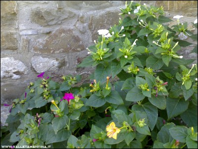 27092016belle-giorno-notte.jpg (250.58 KiB) Osservato 560 volte 27092016belle-giorno-notte.jpg