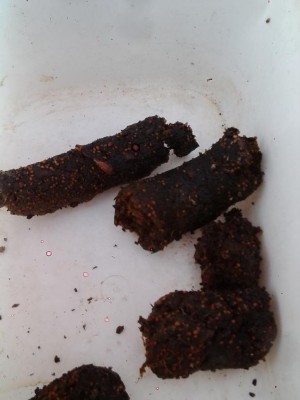 IMG_20160928_184702.jpg (56.41 KiB) Osservato 5968 volte IMG_20160928_184702.jpg