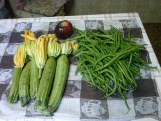 CAM02536 (FILEminimizer).jpg CAM02536 (FILEminimizer).jpg