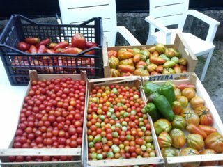 CAM02540 (FILEminimizer).jpg CAM02540 (FILEminimizer).jpg