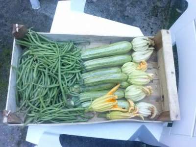 CAM02544 (FILEminimizer).jpg (93.77 KiB) Osservato 828 volte CAM02544 (FILEminimizer).jpg