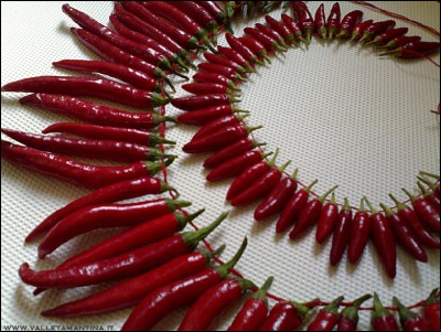 01102016pep3.jpg (284.11 KiB) Osservato 619 volte 01102016pep3.jpg