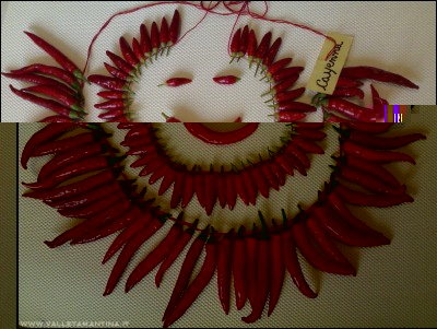 01102016collane-peppers.jpg (280.94 KiB) Osservato 619 volte 01102016collane-peppers.jpg